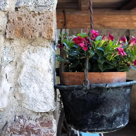 Casa Rita 3 In Vesio Apartman *